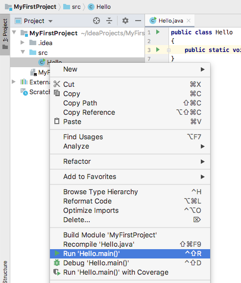 IntelliJ run program